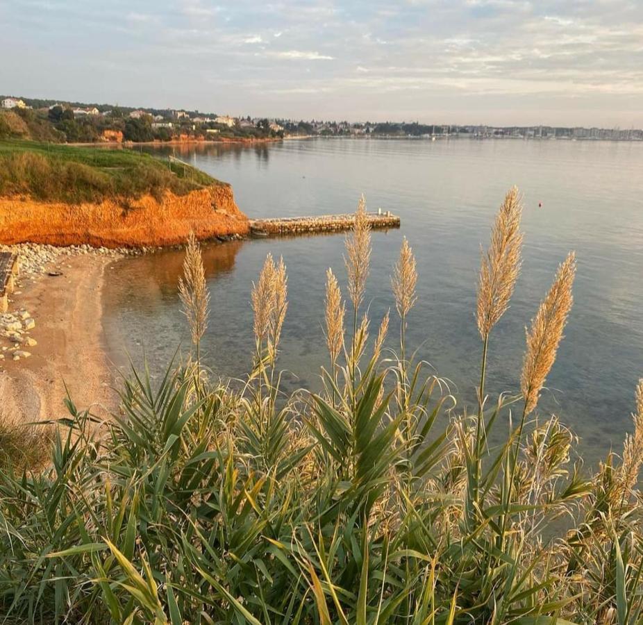 Mobile Homes Kamp Maslina, Biograd Na Moru Luaran gambar