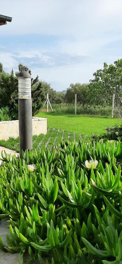 Mobile Homes Kamp Maslina, Biograd Na Moru Luaran gambar