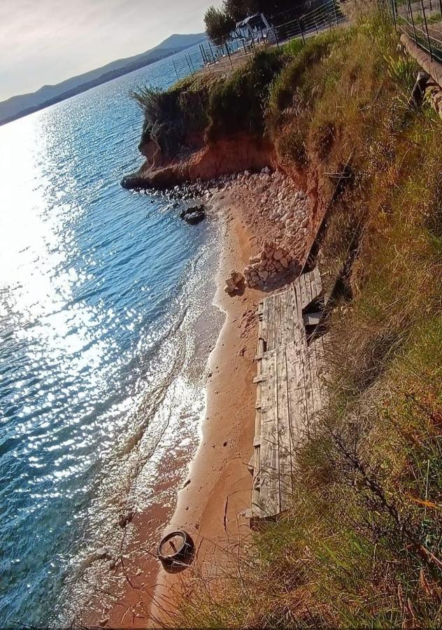 Mobile Homes Kamp Maslina, Biograd Na Moru Luaran gambar