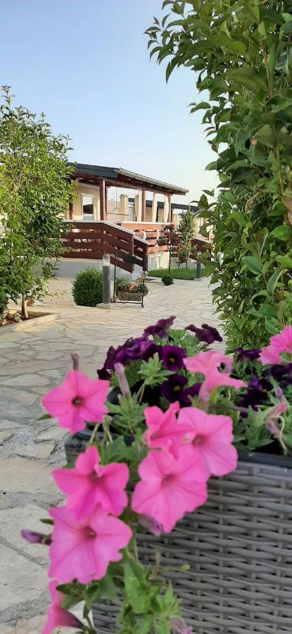 Mobile Homes Kamp Maslina, Biograd Na Moru Luaran gambar