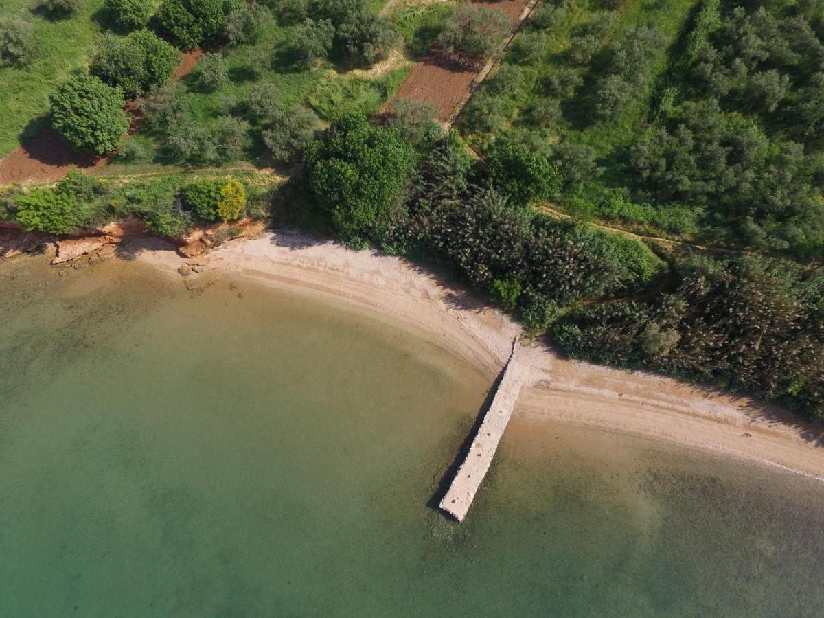 Mobile Homes Kamp Maslina, Biograd Na Moru Luaran gambar